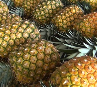 Pineapple