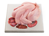Whole Chicken Broiler