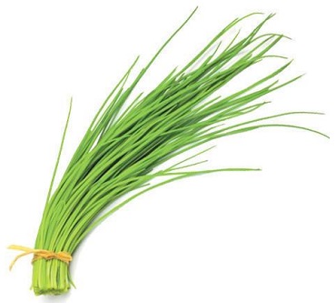 Chives