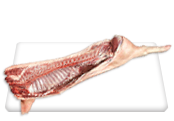 Carcass Side