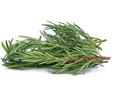 Rosemary